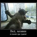 ���� Nat�, ������������� - ��������� 16 ��� 2014 � ������ ������ ��������