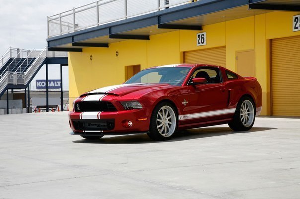 Shelby gt500 super snake 2013