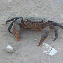 ������ ������ �������..) �� ������� �������.. ���� 2014�.�