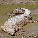 ���� ����, ������, 43 ���� - ��������� 27 ���� 2014 � ������ ������ ��������