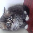 ���� ������, ��������� - ��������� 19 ���� 2014 � ������ ������ ��������