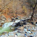  Exotic Tourism In Georgia, , 54  -  13  2014   Rkoni Monastery and Arch Bridge