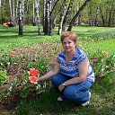 ���� ����������