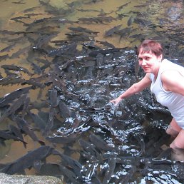 ���� ������, ������� - ��������� 23 ����� 2014