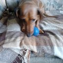 ���� �������, ������, 61 ��� - ��������� 20 ������� 2014 � ������ ������ ������ � �������...�