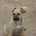 ���� Darida, ������� �����, 64 ���� - ��������� 16 ���� 2014 � ������ ������ ��������