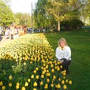  , -, 64  -  11  2014   . 9  2014 