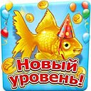 ���� �����, �����������, 35 ��� - ��������� 24 ���� 2014 � ������ ������ ��������