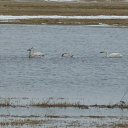 ���� ������, �����-���������, 67 ��� - ��������� 21 ������ 2014 � ������ ������ ��������