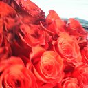 �� ����� ��������� �� ������� ���� ����������