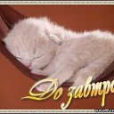 ���� ����� ����, ������-��-���� - ��������� 20 ������� 2014 � ������ ������ ��������