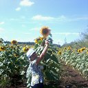 ���� ������, ��������, 69 ��� - ��������� 4 ������� 2014 � ������ ���� ����������