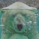 ���� ������, ������, 32 ���� - ��������� 15 ������ 2014 � ������ ������ ��������