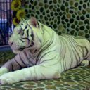 ���� �� ������� �������� 2014�