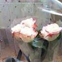 ���� �����, ������, 44 ���� - ��������� 19 ����� 2014 � ������ ���� ������� �������