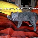 ���� *����, ��������, 59 ��� - ��������� 22 ��� 2014 � ������ ������ ��������