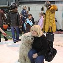 ���� �������, ����, 49 ��� - ��������� 31 ����� 2014 � ������ ���� ����������