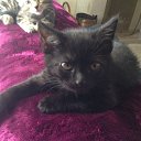 ���� �������(���������� ����), ������� - ��������� 21 ���� 2014 � ������ ������ ��������