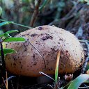 ���� �����, �����, 64 ���� - ��������� 6 ��� 2014 � ������ ������������ ������