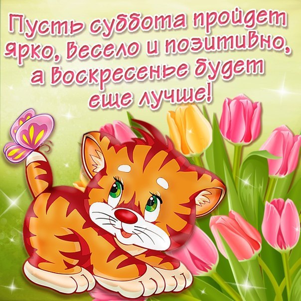 ������ - 8 ������� 2014 � 22:44
