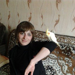 ���������, ��������