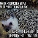 ���� ������, �����, 33 ���� - ��������� 22 ���� 2014 � ������ ������ ��������