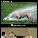 ���� Tolikrostov, ������-��-����, 31 ��� - ��������� 7 ���� 2014 � ������ ������ ��������