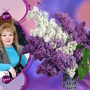 ���� ���������, �����-��������� - ��������� 4 ��� 2014 � ������ ���� ����������