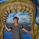  , -, 55  -  28  2014     