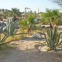 ���� �����, �������� - ��������� 14 ������� 2014 � ������ ���� ����������