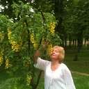 ���� ���������, ������ - ��������� 27 ��� 2014 � ������ ���� ����������