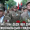 ���� ���������, ���������������, 61 ��� - ��������� 13 ���� 2014 � ������ ������ ��������