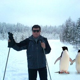 �������, ������������