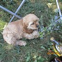 ���� �������, ��������, 57 ��� - ��������� 9 ������� 2014 � ������ ��������