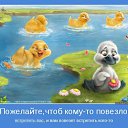���� ������, ������������, 54 ���� - ��������� 18 ���� 2014 � ������ ������ ��������