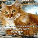 ���� ����, ����, 65 ��� - ��������� 4 ��� 2014 � ������ ������ ��������