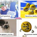 ���� �������, ������������, 49 ��� - ��������� 1 ��� 2014 � ������ ������ ��������