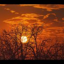 ���� �������, ������, 39 ��� - ��������� 22 ������ 2014 � ������ ������ ��������