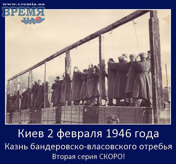 . - 19  2014  15:48