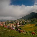 ���� �������, �����, 51 ��� - ��������� 19 ��� 2014 � ������ ����������