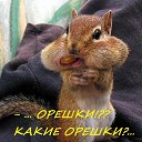 ���� ����, ��������, 52 ���� - ��������� 5 ���� 2014 � ������ ���������