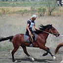 ���� �������, ���������, 42 ���� - ��������� 15 ���� 2014