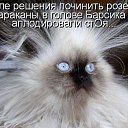 ���� ���, �������� - ��������� 27 ��� 2014 � ������ ������ ��������
