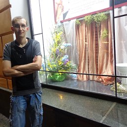 ����, �������, 36 ���