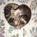 ���� Cshohkolad, ������ - ��������� 10 ���� 2014 � ������ ������ ��������