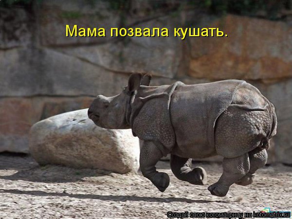 Alex Linadherent - 17  2014  14:16