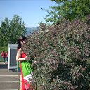 ���� ����, ����������, 53 ���� - ��������� 7 ���� 2014