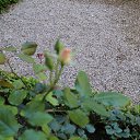 ���� �����, ������ �������� - ��������� 29 ���� 2014 � ������ �2014 ��