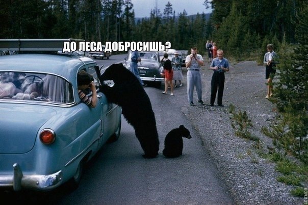  - 10  2014  13:08