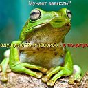 ���� ��������, ���������, 61 ��� - ��������� 20 ����� 2014 � ������ ������ ��������